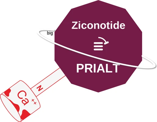 Ziconotide ballicule: receptor binding, kinetics and half-life diagram
