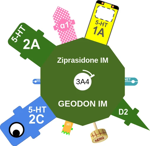 Ziprasidone IM ballicule: receptor binding, kinetics and half-life diagram