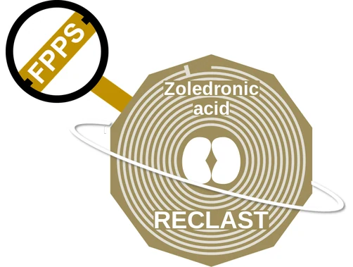 Zoledronic acid ballicule: receptor binding, kinetics and half-life diagram