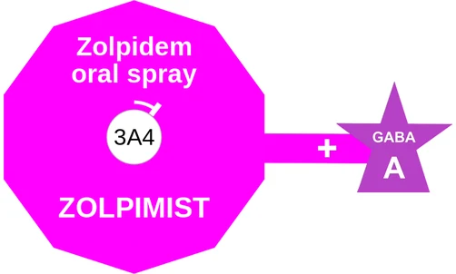 Zolpidem oral spray ballicule: receptor binding, kinetics and half-life diagram
