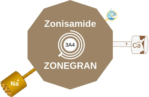 Zonisamide ballicule: receptor binding, kinetics and half-life diagram