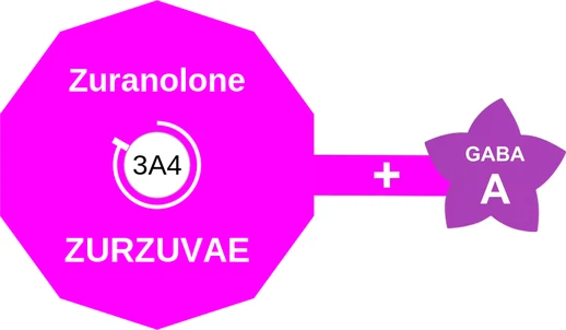 Zuranolone ballicule — decagon mechanism diagram