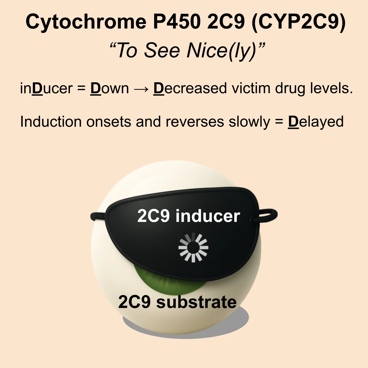 CYP2C9 interaction: CYP2C9 substrate + inducer