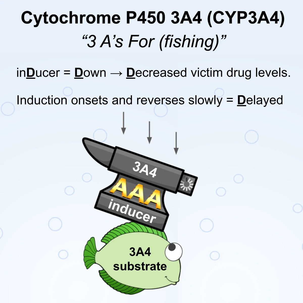 CYP3A4 interaction: CYP3A4 inducer + substrate