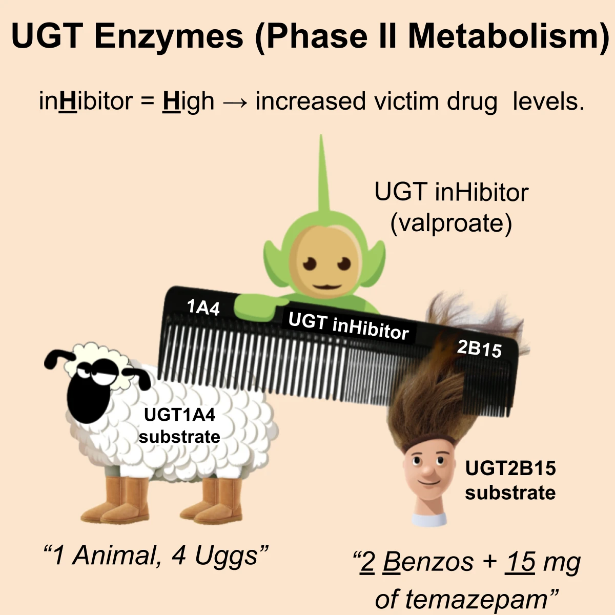 UGT1A4 interaction: UGT substrate or inhibitor