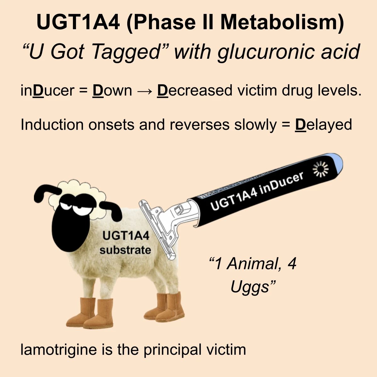UGT1A4 interaction: UGT1A4 substrate or inducer