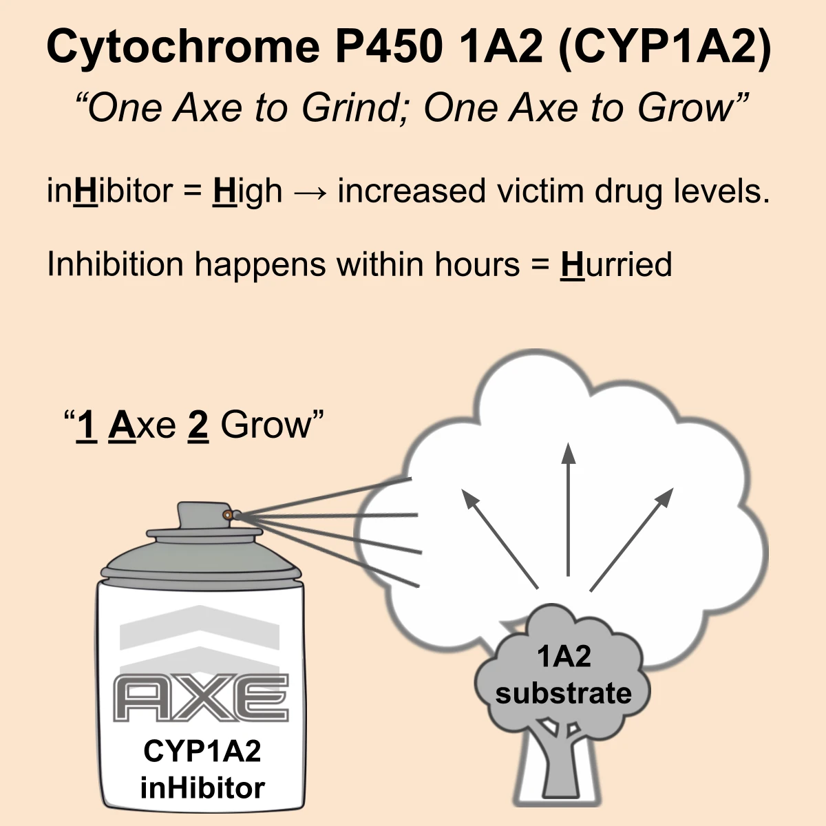 CYP1A2 interaction: CYP1A2 inhibitor + substrate