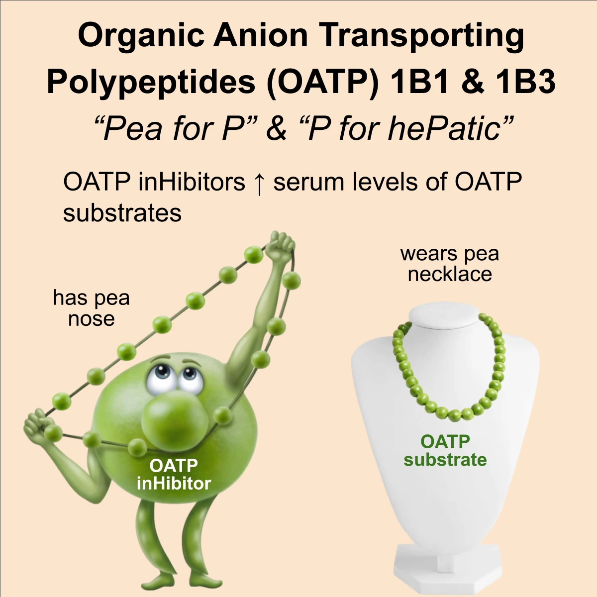 OATP interaction: OATP inhibitor + substrate