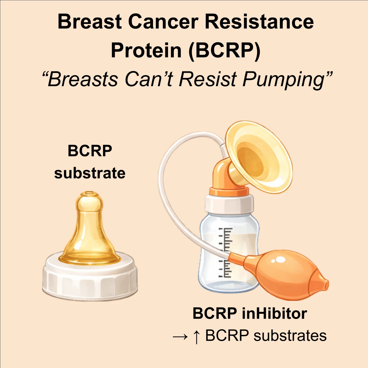 BCRP interaction: BCRP substrate + inhibitor