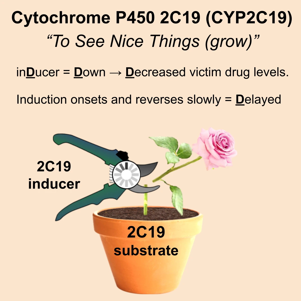 CYP2C19 interaction: CYP2C19 inducer + substrate