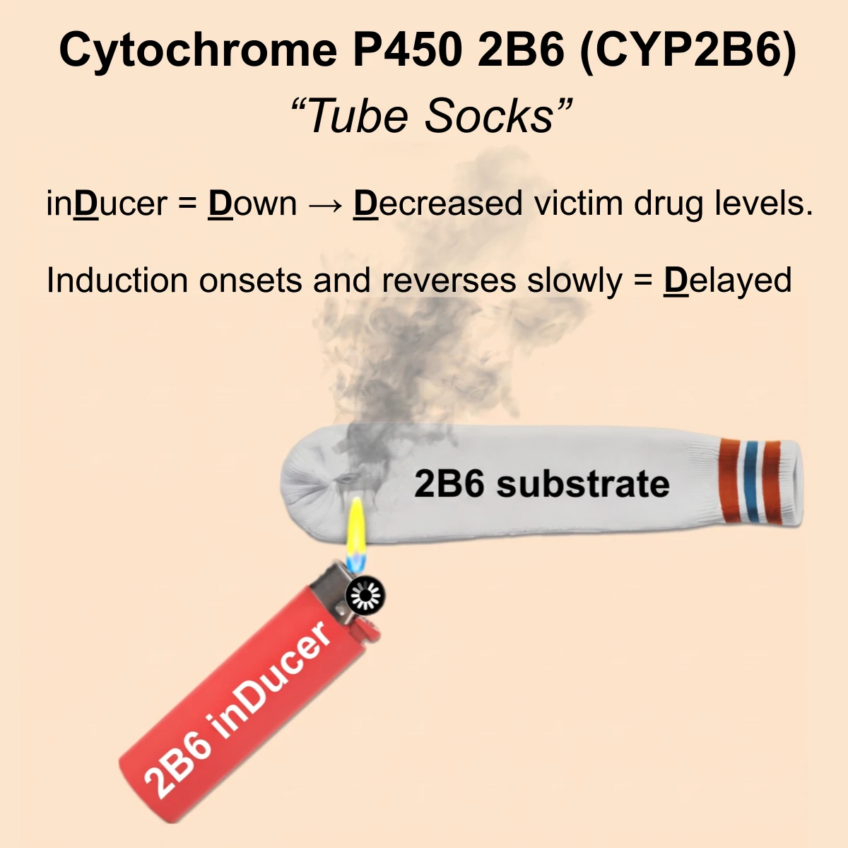 CYP2B6 interaction: CYP2B6 substrate + inducer
