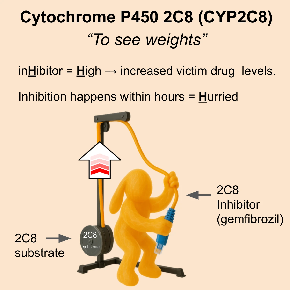 CYP2C8 interaction: CYP2C8 substrate + inhibitor
